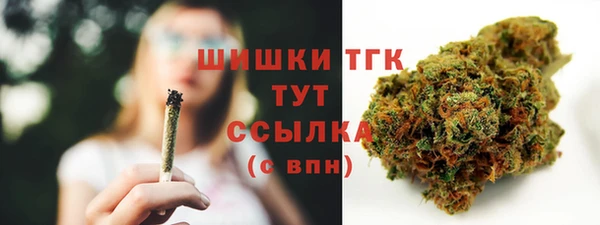 ГАЛЛЮЦИНОГЕННЫЕ ГРИБЫ Алексин