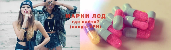 ГАЛЛЮЦИНОГЕННЫЕ ГРИБЫ Алексин