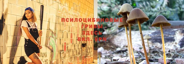 шишки Алексеевка