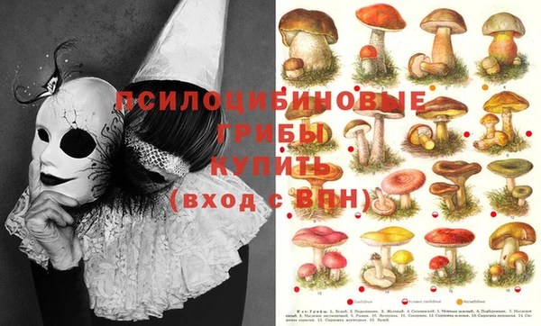 ГАЛЛЮЦИНОГЕННЫЕ ГРИБЫ Алексин