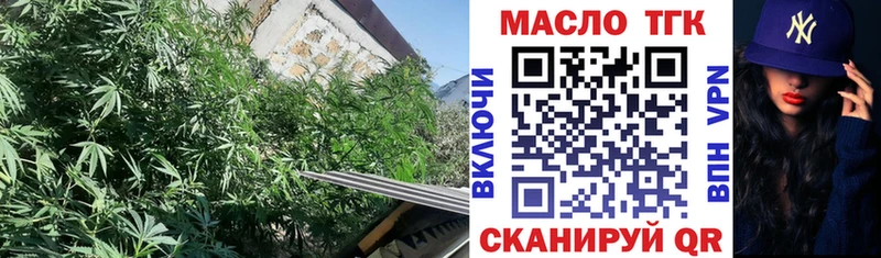 omg tor  Рыбное  ТГК жижа 