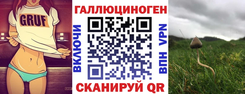 kraken онион  купить наркоту  Рыбное  Псилоцибиновые грибы GOLDEN TEACHER 
